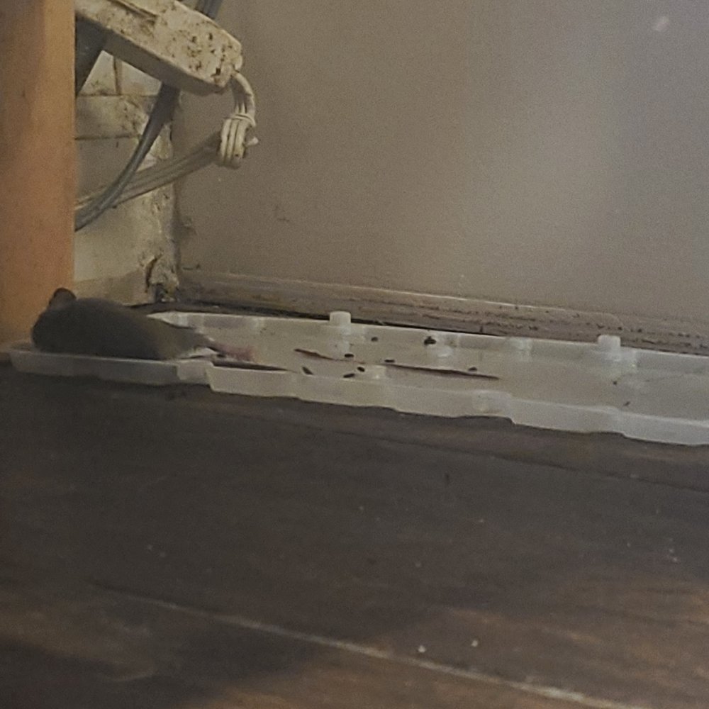 Maximum Realty & Property Management - This is from 12/14/20 - Property Management Near Me - Alhambra, California Maximum Realty & Property Management - This is from 12/14/20 - Property Management Near Me - Alhambra, California