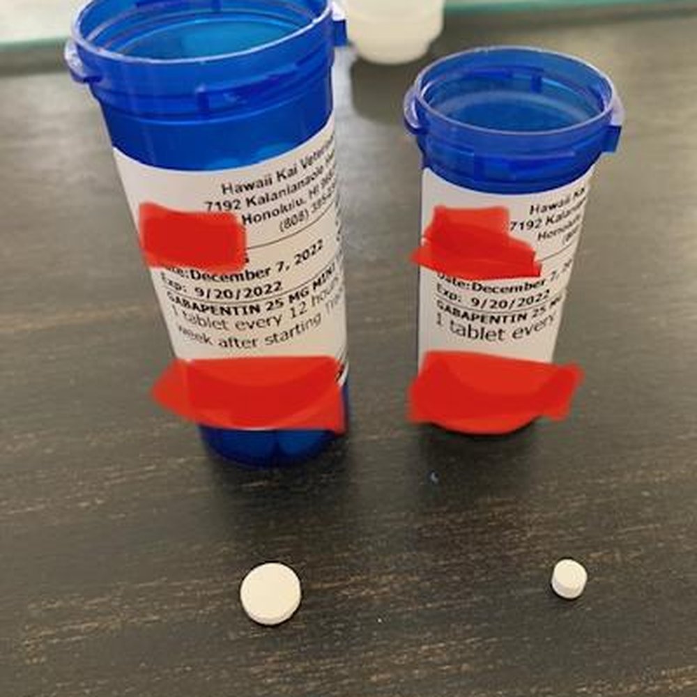 Expired medications and mislabeled pill bottles. Expired medications and mislabeled pill bottles.