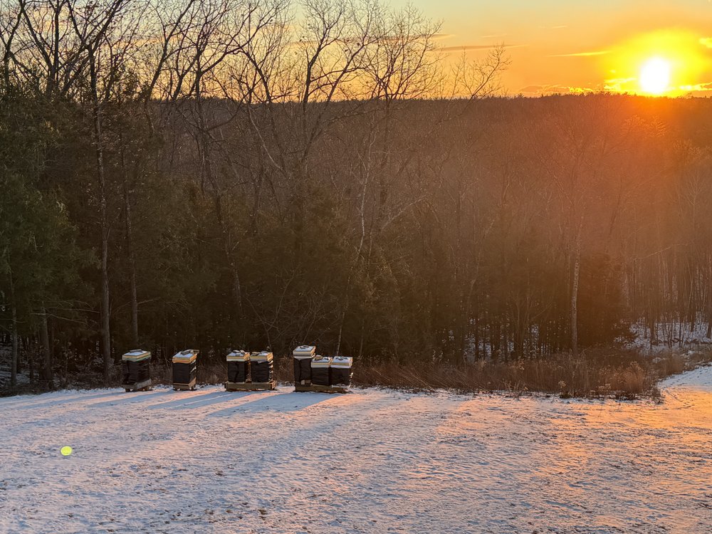 Spruce Pond Honey And Bee - beekeeping in Windham, NH