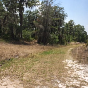 Bell Creek Nature Preserve - Easy Walking And Beautiful Trees! - Hiking Near Me - Riverview, Florida