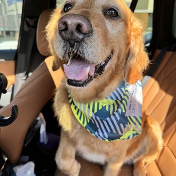 PetSmart - This happy boy just finished his grooming session with Sarah V.! - Pet Groomers Near Me - VALLEJO, California