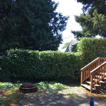 Sol Marvelous Services - After she got trimmed - Landscaping Near Me