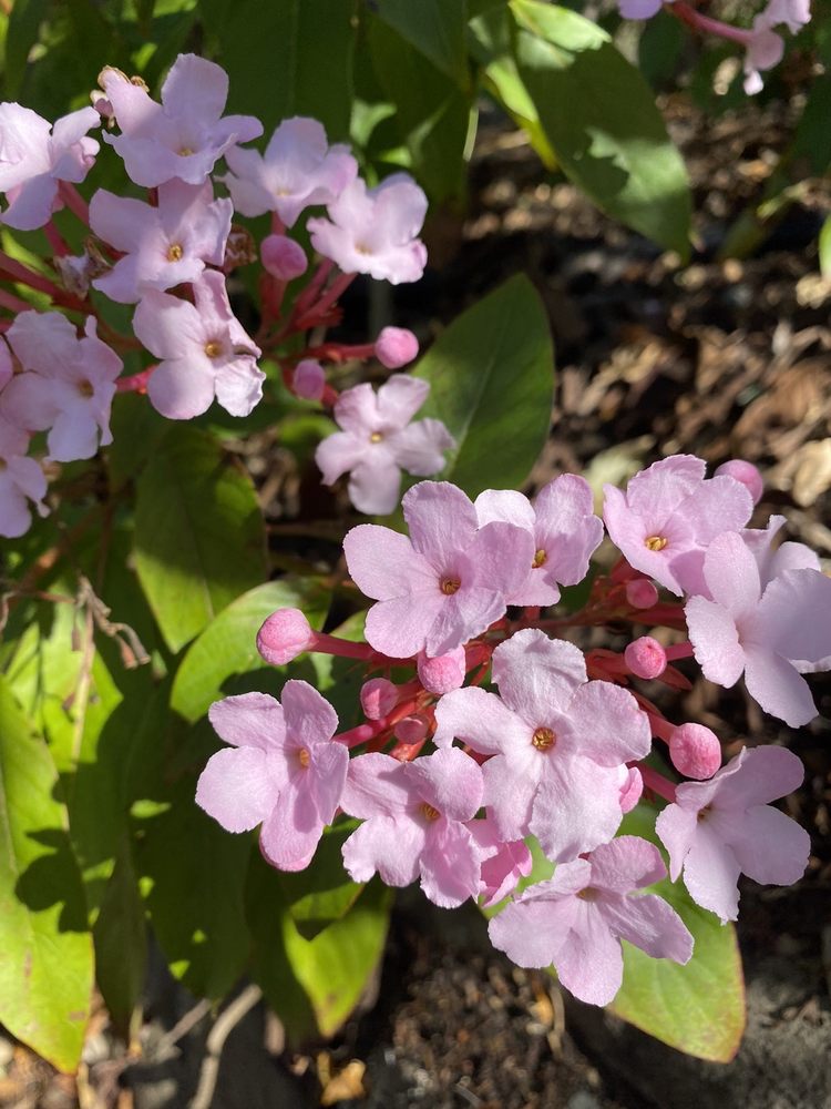 JENN A WHITECLOUD - Updated July 2025 - 22 Photos & 30 Reviews - 207 N