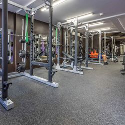 Anytime Fitness Ellerslie