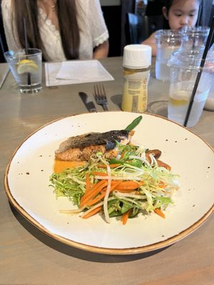 Salt & Stone by null