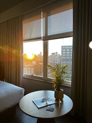 ModernHaus SoHo by null
