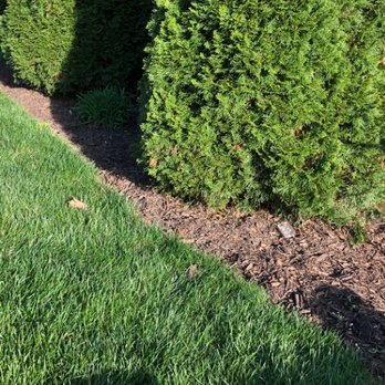 Green Landscape - Removed weeds and debris, trimmed plants, cleaned up border, and added mulch. - Landscaping Near Me Green Landscape - Removed weeds and debris, trimmed plants, cleaned up border, and added mulch. - Landscaping Near Me
