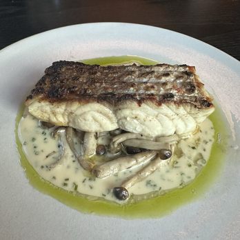 Current Charcoal Grill - Roasted Red Snapper - Asian Fusion Near Me - Birmingham, Alabama Current Charcoal Grill - Roasted Red Snapper - Asian Fusion Near Me - Birmingham, Alabama