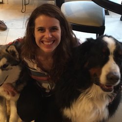 affordable veterinary hospital