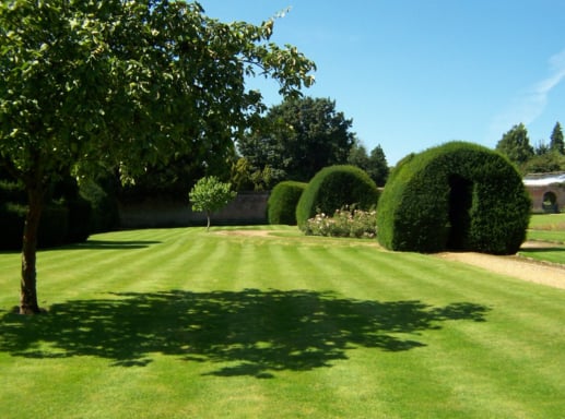 Photo of Lawn Care of Cumming - Cumming, GA, US. How do you want your lawn to look?