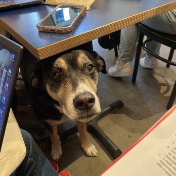 Boris & Horton - Cafes Near Me - New York, New York
