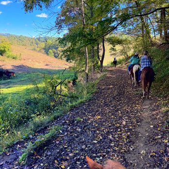 Smoky Mountain Trail Rides - Trail ride - Horseback Riding Near Me - Marshall, North Carolina