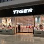 Photo of Tiger