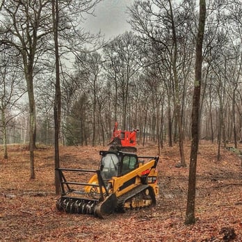 Out On a Limb Tree And Land - Tree Services Near Me - Pleasant Valley, New York Out On a Limb Tree And Land - Tree Services Near Me - Pleasant Valley, New York