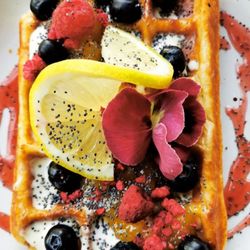 Lilize Cafe - Lemohn Waffel from Lily's Waffel Weimar:
Handmade Belgian Waffle, Mascarpone, Lemon Curd, dried Raspberries & Sauce, Blueberries, 
Poppies
