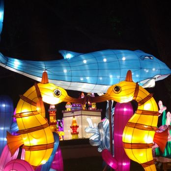 Dragon Lights Albuquerque - Festivals Near Me - Albuquerque, New Mexico