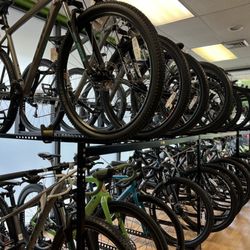 Alligator's Cycling