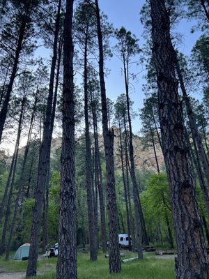 Cave Springs Campground by null