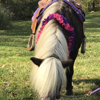 Ponyland Pony Parties - Party & Event Planning Near Me Ponyland Pony Parties - Party & Event Planning Near Me