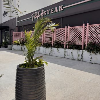 Pink Steak - Steakhouses Near Me - West Palm Beach, Florida Pink Steak - Steakhouses Near Me - West Palm Beach, Florida