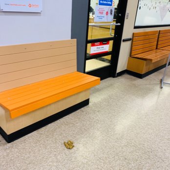 PetSmart - Customers had to wait to drop off their dogs so long that dogs were extremely nervous to the point of pooping on the floor. - Pet Training Near Me - Bridgeton, Missouri PetSmart - Customers had to wait to drop off their dogs so long that dogs were extremely nervous to the point of pooping on the floor. - Pet Training Near Me - Bridgeton, Missouri