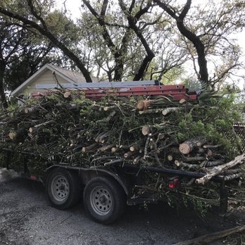 Wild Oak Tree Service - Tree Services Near Me Wild Oak Tree Service - Tree Services Near Me