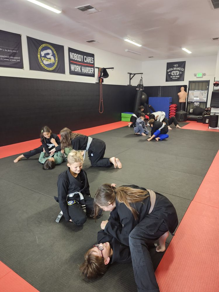 Citadel Combat Academy Logo