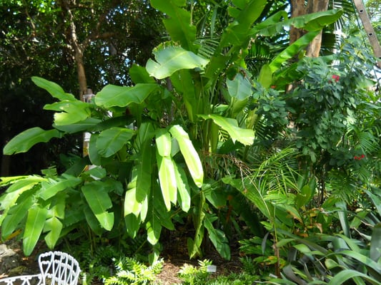 Audubon House & Tropical Gardens by null