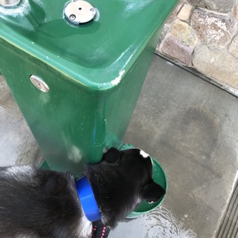 Anaheim Coves - Pet Friendly! ‍ - Parks Near Me - Anaheim, California