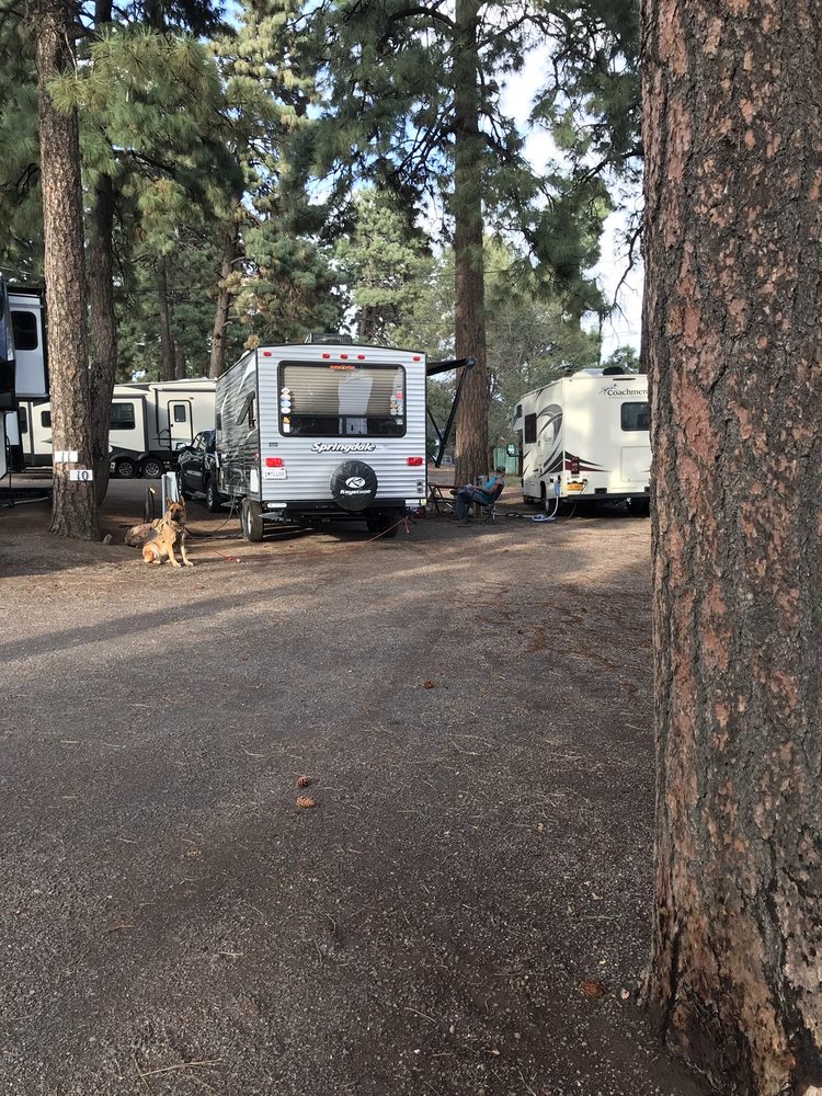 GREER’S PINE SHADOWS Updated July 2024 23 Reviews 7101 N US Hwy