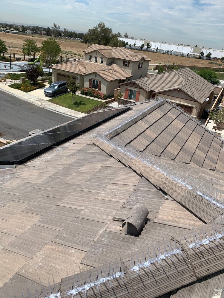 Slide of BC Solar Solutions