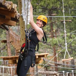 Treehouse Adventure Park