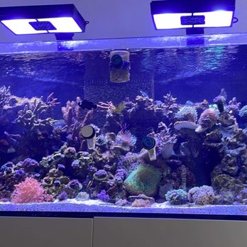 Water World Aquatics - Aquarium Services Near Me