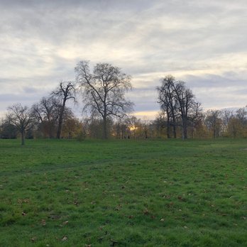 Richmond Park - Parks Near Me - Richmond, XGL Richmond Park - Parks Near Me - Richmond, XGL