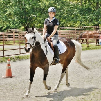 Spring Valley Equestrian Center - We offer high quality English and Western horseback riding lessons to interested children and adults for years. - Horseback Riding Near Me - Newton, New Jersey Spring Valley Equestrian Center - We offer high quality English and Western horseback riding lessons to interested children and adults for years. - Horseback Riding Near Me - Newton, New Jersey