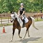 Photo of Spring Valley Equestrian Center