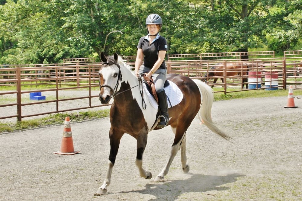 Spring Valley Equestrian Center - equestrian in Newton, NJ