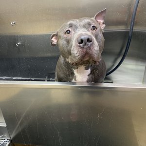 REBER RANCH - 115 Photos & 179 Reviews - 28606 132nd Ave SE, Kent ...