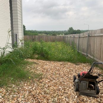 Del Valle Tree Service - Before - Tree Services Near Me - Del Valle, Texas Del Valle Tree Service - Before - Tree Services Near Me - Del Valle, Texas