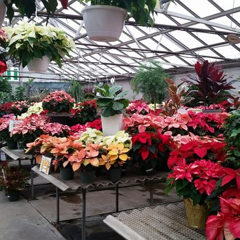 Strader S Garden Centers 21 Photos 38 Reviews Nurseries