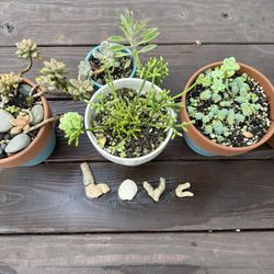 Cute table
