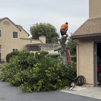 Progressive Property Management - Property Management Near Me - Anaheim, California Progressive Property Management - Property Management Near Me - Anaheim, California