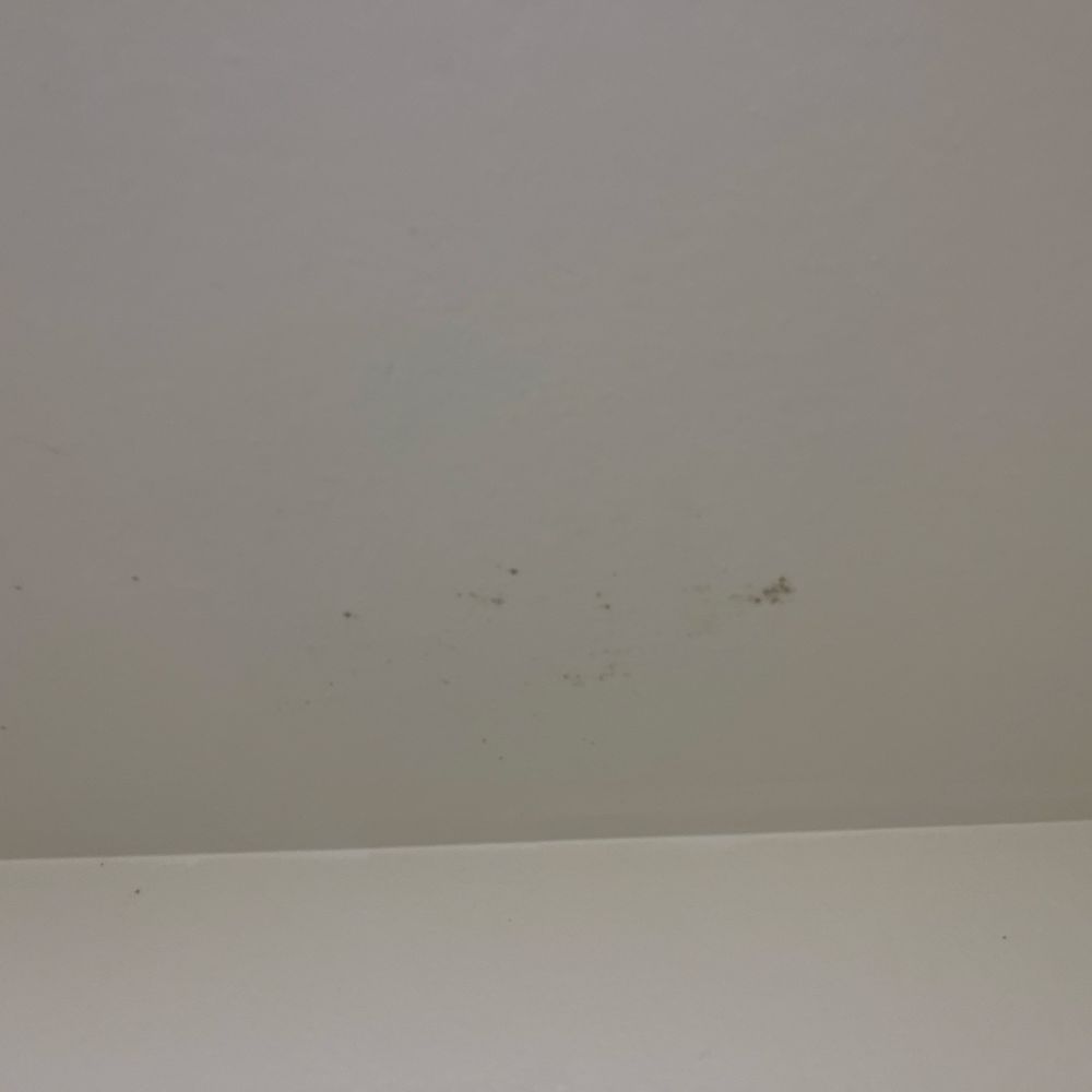 Valley Park Apartments - More mold - Apartments Near Me - Fountain Valley, California Valley Park Apartments - More mold - Apartments Near Me - Fountain Valley, California
