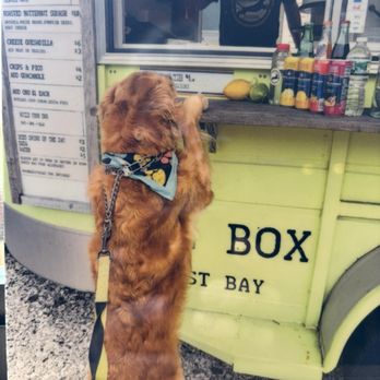 The Taco Box - Lola loooved coming here regularly for her treats!! - Tacos Near Me - Warren, Rhode Island