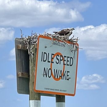 Breakwater Adventures - Tours Near Me - Goodland, Florida Breakwater Adventures - Tours Near Me - Goodland, Florida