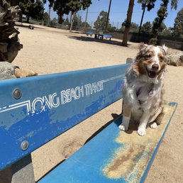 Huge and Fun Dog park! Huge and Fun Dog park!
