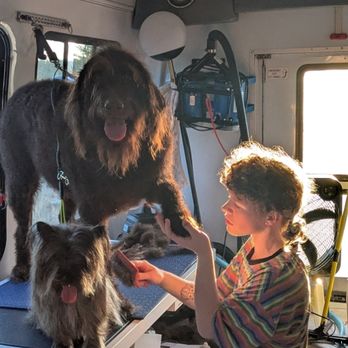 Fluff Pet Parlor - Pet Groomers Near Me - Spokane, Washington Fluff Pet Parlor - Pet Groomers Near Me - Spokane, Washington