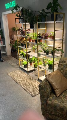 Seed Cafe and Espresso Bar by null