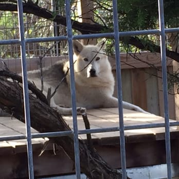 Austin Zoo - Zoos Near Me - Austin, Texas