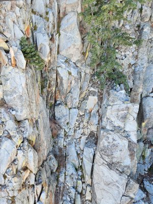 Palm Springs Aerial Tramway by null Palm Springs Aerial Tramway by null